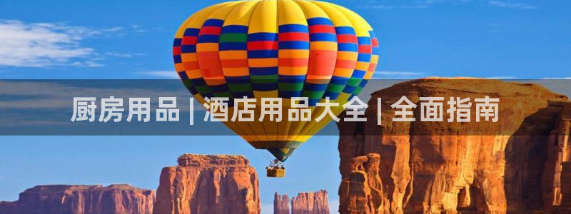 手机鸿运国际