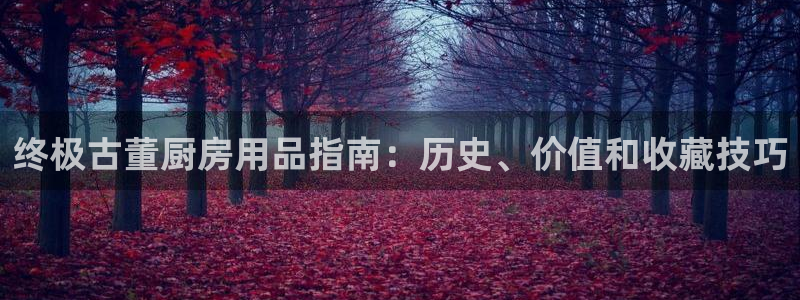 鸿运国际官网hv00