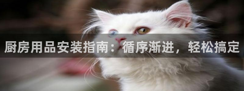 鸿运国际平台网址