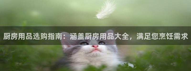 鸿运国际官网最新网站入口