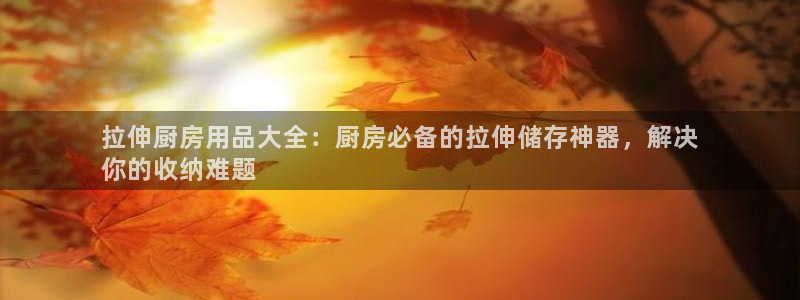 鸿运国际的官方平台